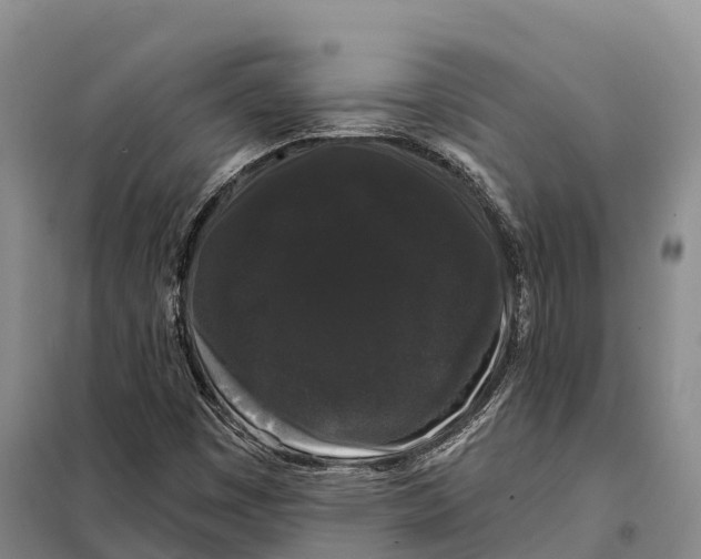 X0000098011449200804251103