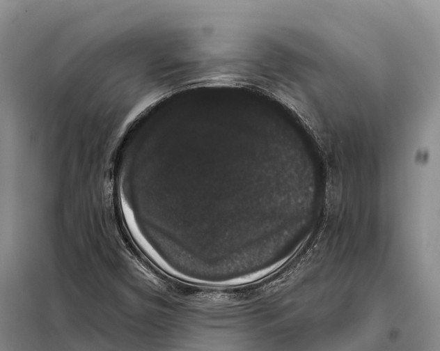 X0000098011450200804251103