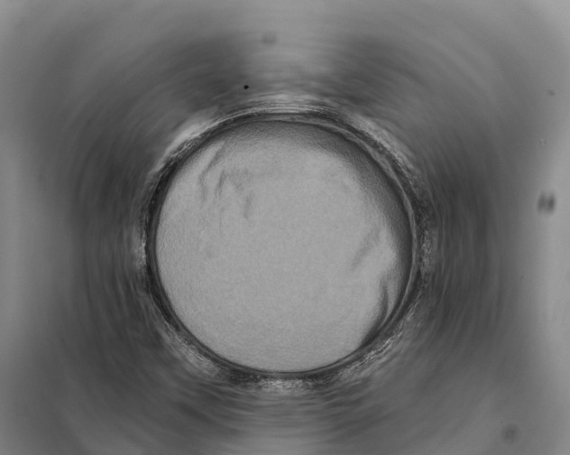 X0000098011451200804251103