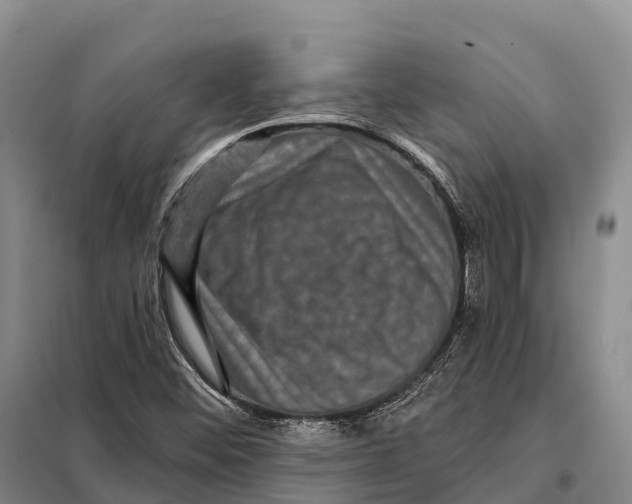 X0000098011452200804251103