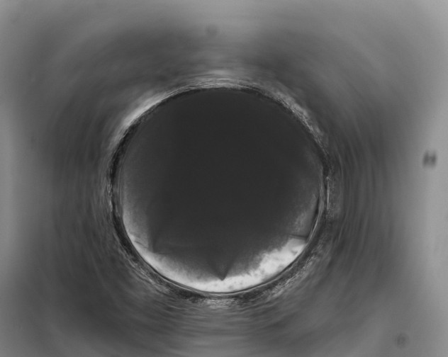 X0000098011453200804251103