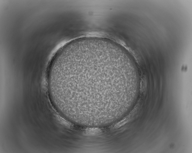 X0000098011454200804251103