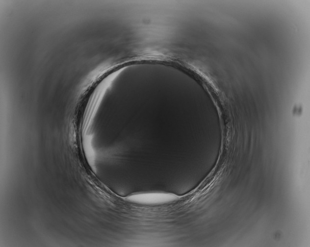 X0000098011455200804251103