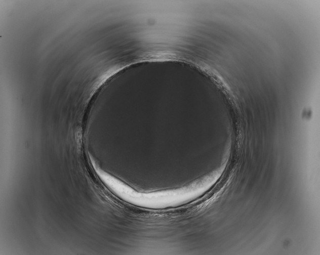 X0000098011457200804251103