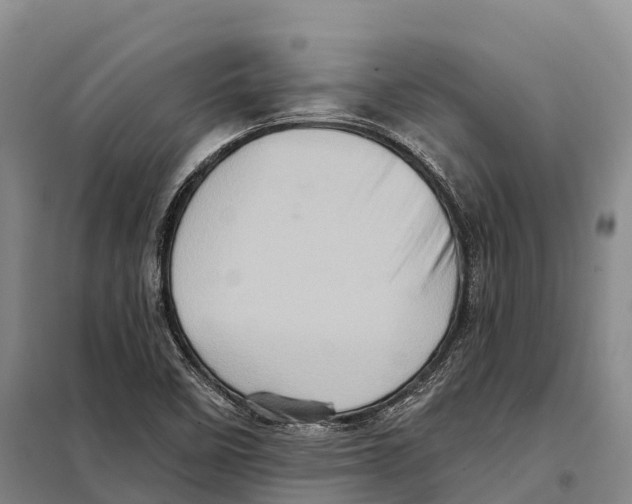 X0000098011458200804251103