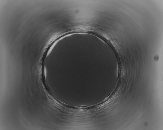 X0000098011459200804251103