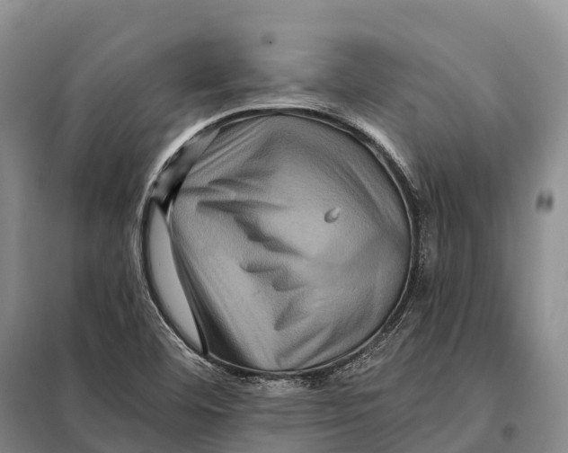 X0000098011460200804251103