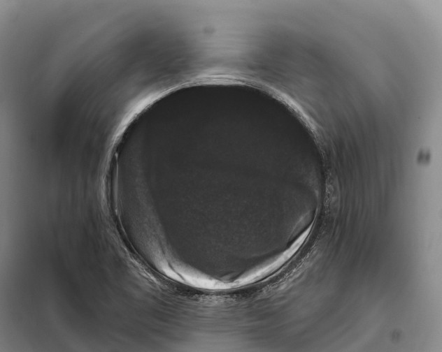 X0000098011461200804251103