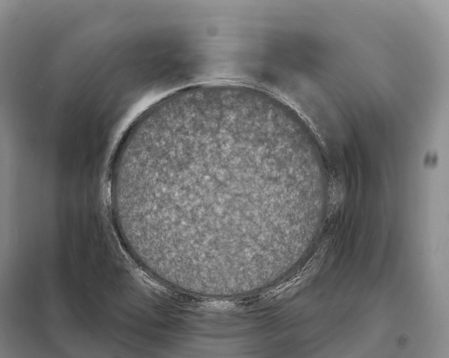 X0000098011462200804251103