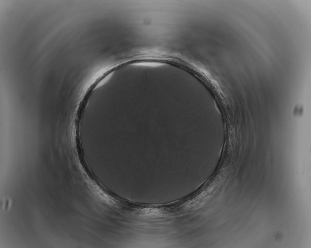 X0000098011463200804251103