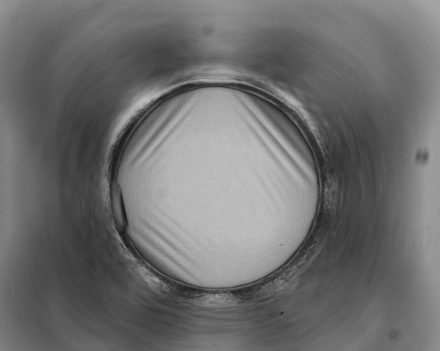 X0000098011464200804251103