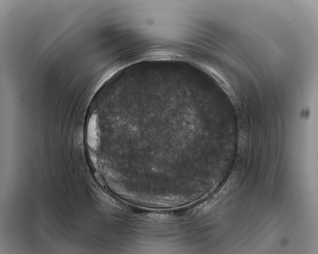 X0000098011465200804251103