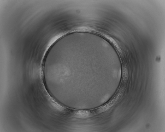 X0000098011466200804251103