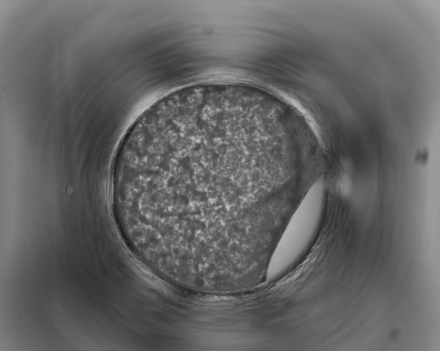 X0000098011467200804251103