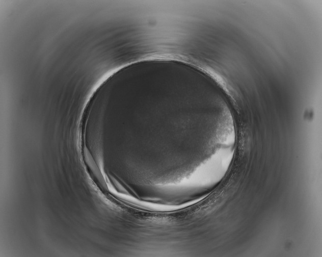 X0000098011468200804251103