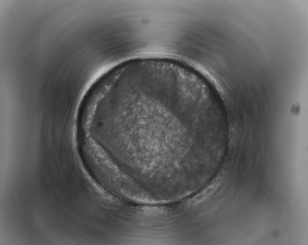 X0000098011469200804251103