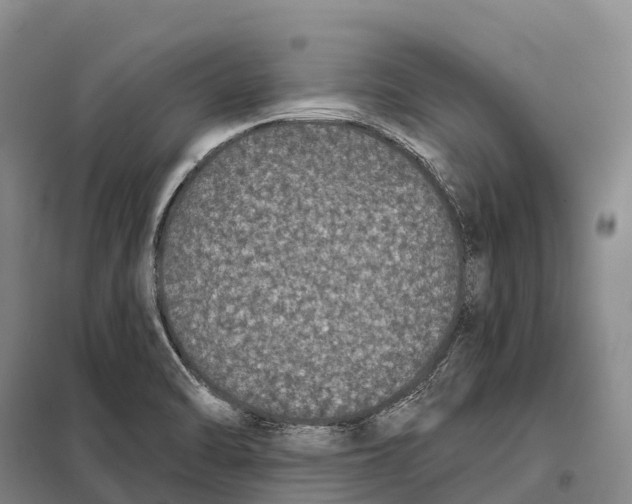 X0000098011470200804251103