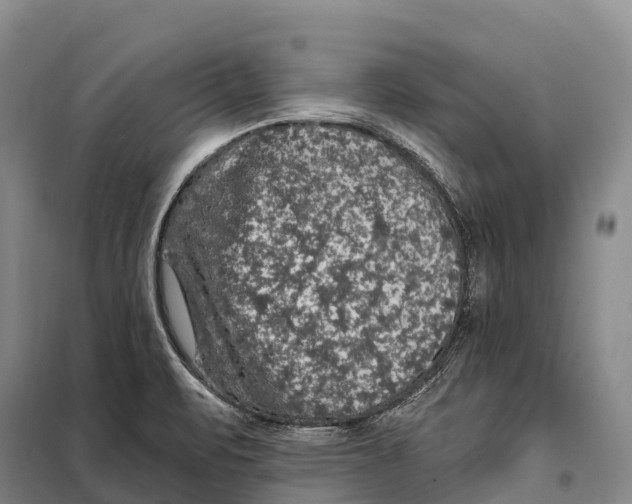 X0000098011471200804251103