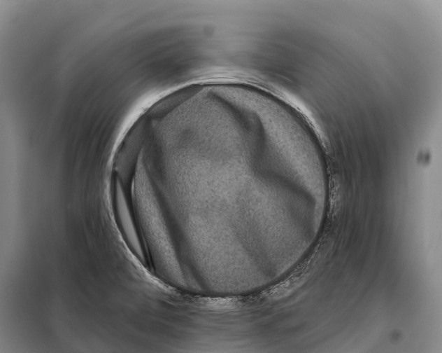 X0000098011472200804251103