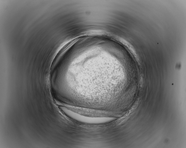 X0000098011473200804251103