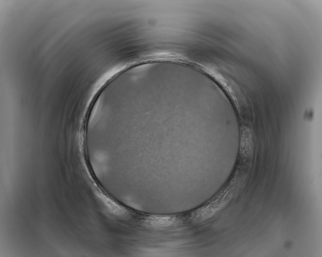 X0000098011474200804251103