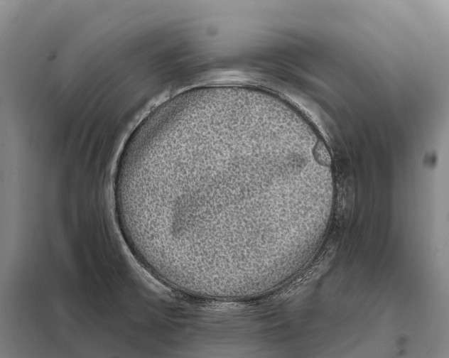 X0000098011475200804251103