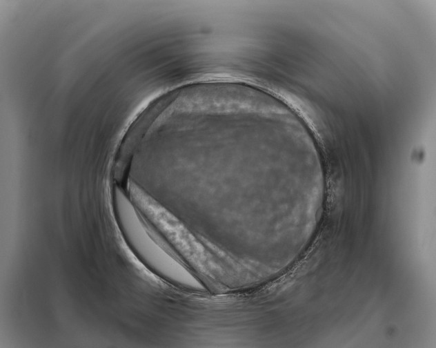 X0000098011476200804251103