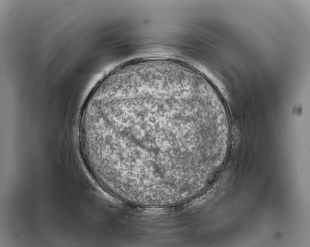 X0000098011477200804251103