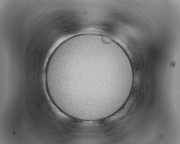 X0000098011478200804251103