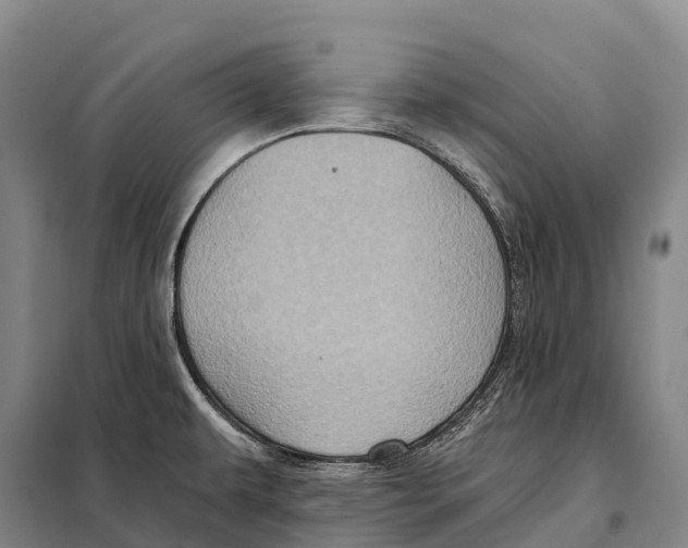 X0000098011479200804251103