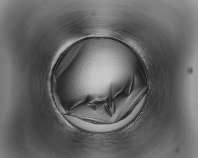 X0000098011480200804251103