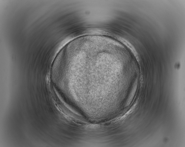 X0000098011481200804251103