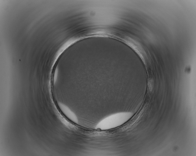 X0000098011482200804251103