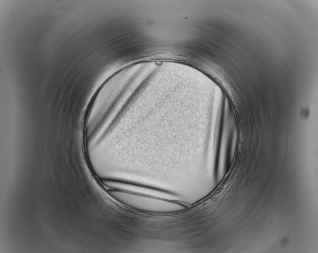 X0000098011483200804251103