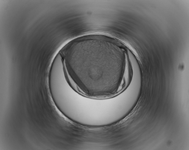 X0000098011484200804251103