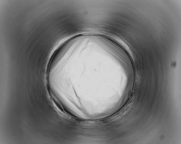 X0000098011485200804251103