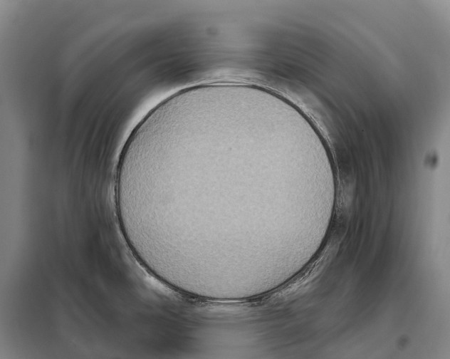 X0000098011486200804251103