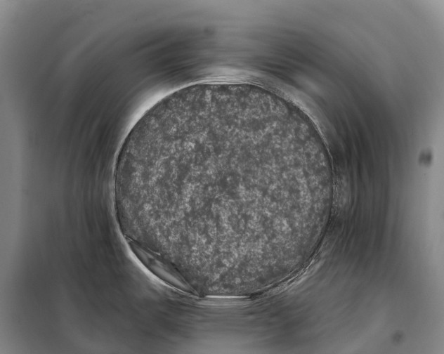 X0000098011487200804251103