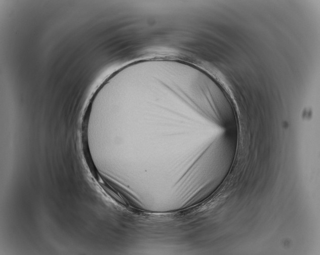 X0000098011488200804251103