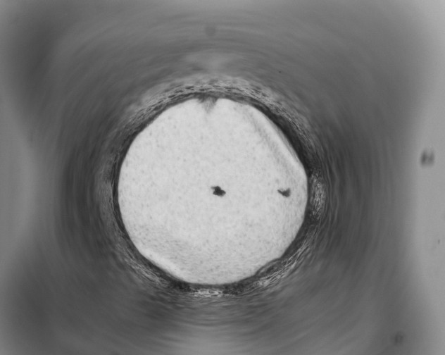 X0000098011489200804251102