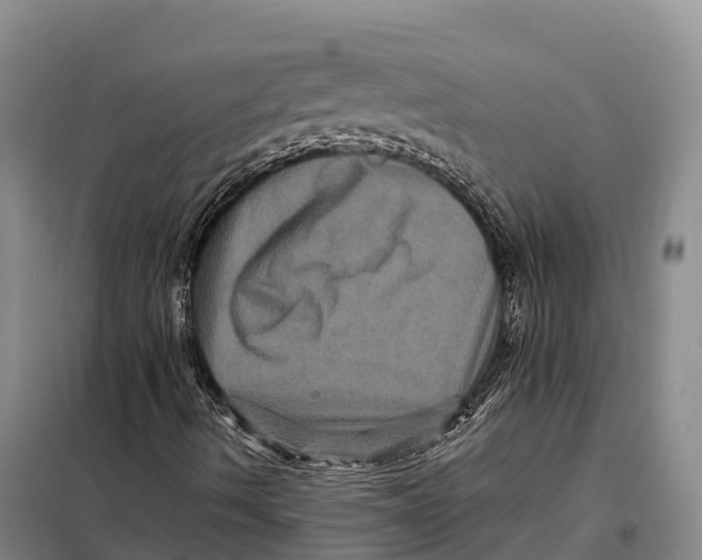 X0000098011490200804251102