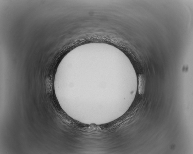 X0000098011491200804251102