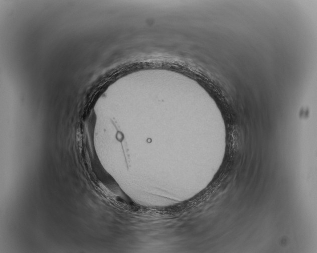 X0000098011493200804251102