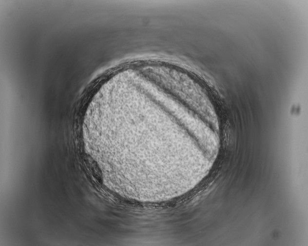 X0000098011494200804251102