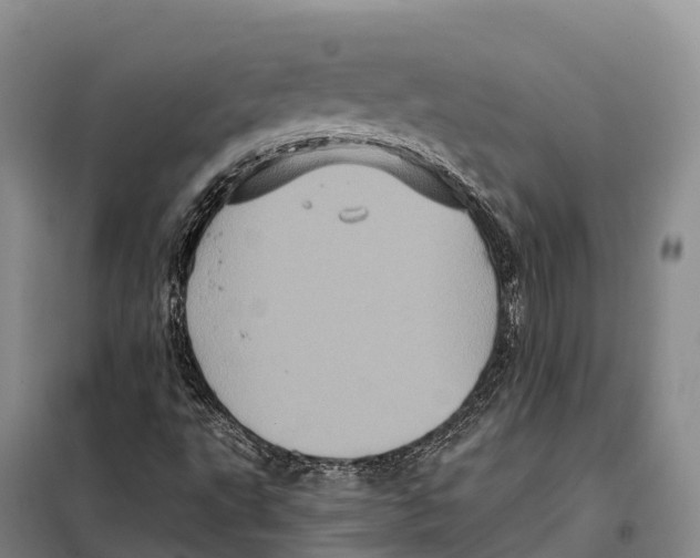 X0000098011495200804251102