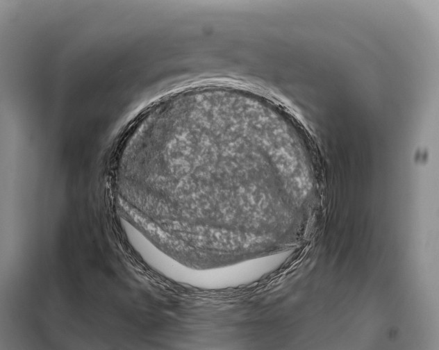 X0000098011496200804251102