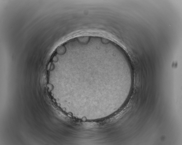 X0000098011498200804251102