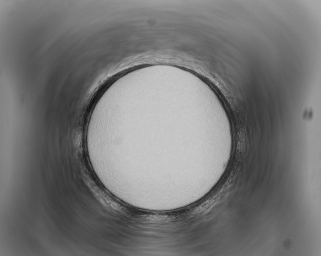 X0000098011499200804251102