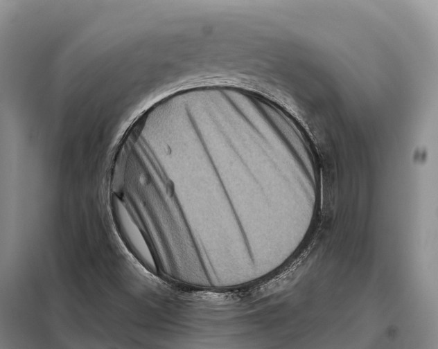 X0000098011500200804251102