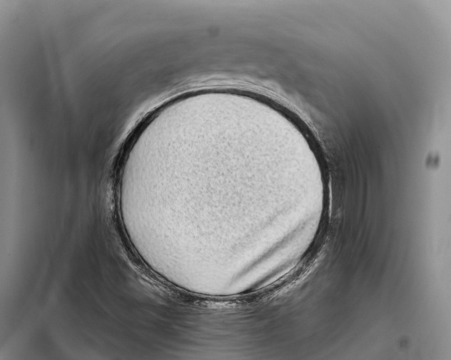 X0000098011501200804251102